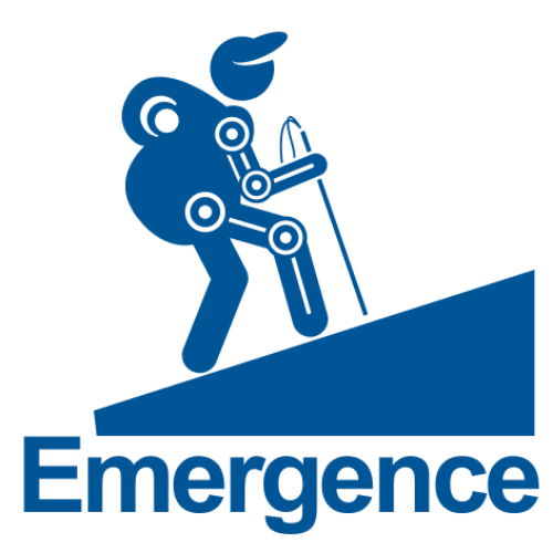 EMERGENCE: Tackling Frailty - Facilitating the Emergence of Healthcare Robots from Labs into Service